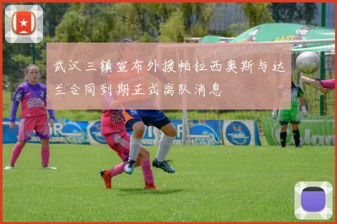 武汉三镇宣布外援帕拉西奥斯与达兰合同到期正式离队消息