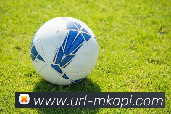 MK体育平台生态图